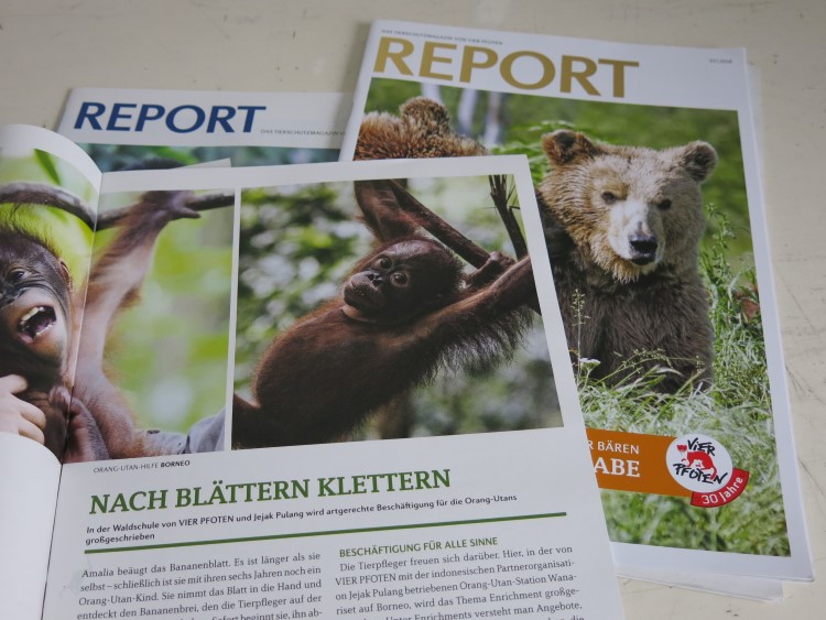 Mehrere Ausgaben der Zeitschrift Report von VIER PFOTEN