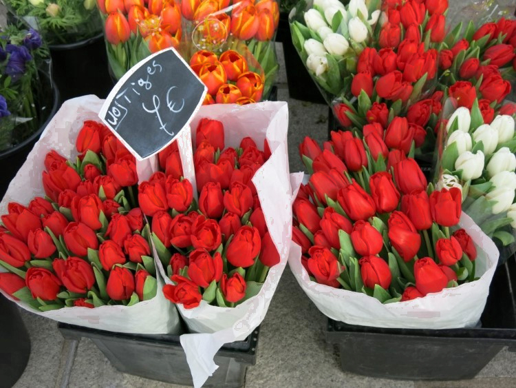 Blumen für gute Texte